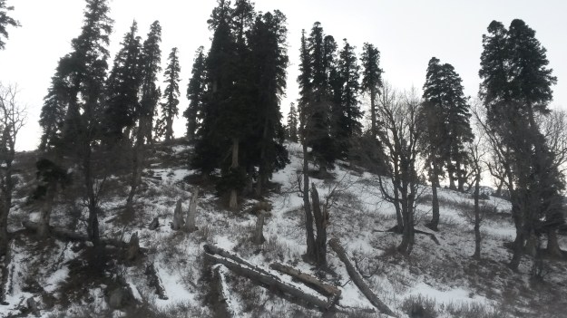 Gulmarg in December
