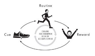 Cue Routine Reward Cycle