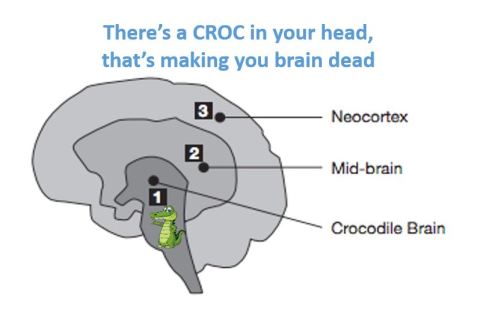 Crocodile Brain